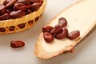 《真人快打遗产收藏》2025年内发售 收录系列20余款名作